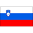 home logo