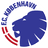home logo