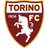home logo